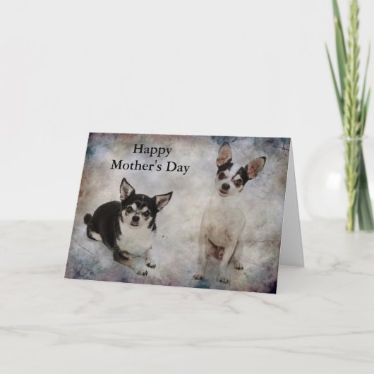 ポートレートの二千華華 カード (正面)