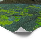 ポートレートの可愛い緑の目猫|過去記事 ポスター (角)