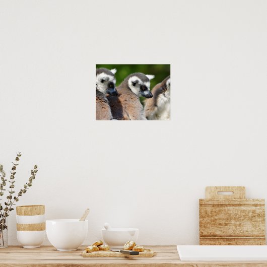 ポートレートの尾の付いた動物 ポスター (キッチン)