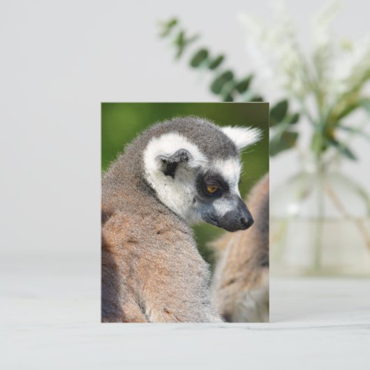 ポートレートの尾の付いた動物 ポストカード (スタンド正面)