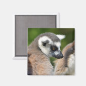 ポートレートの尾の付いた動物 マグネット (正面/裏面)