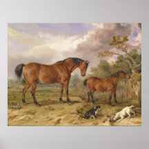 ポートレートの改革者、ブルーチャー、トーリーとクリブ