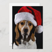 ポートレートの犬のクリスマスハット シーズンカード (正面/裏面)