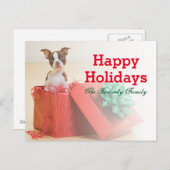 ポートレートの白と茶色のボストン·テリア シーズンポストカード (正面/裏面)