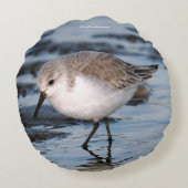 ポートレートの砂浜 ラウンドクッション (裏面)