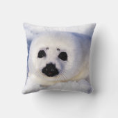 ポートレートの竪琴 クッション (裏面)