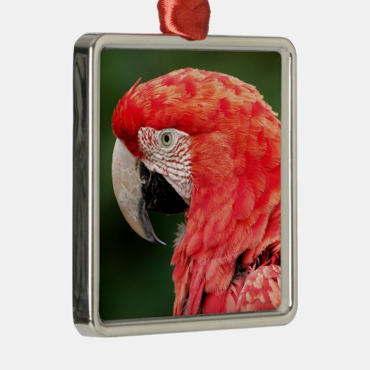 ポートレートの緑の翼のマカオ メタルオーナメント (右)