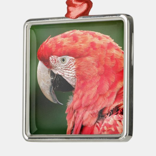 ポートレートの緑の翼のマカオ メタルオーナメント (左)