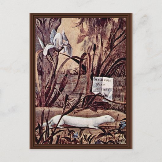 ポートレートの騎士詳細バイカルパシオヴィットーレ ポストカード (正面)