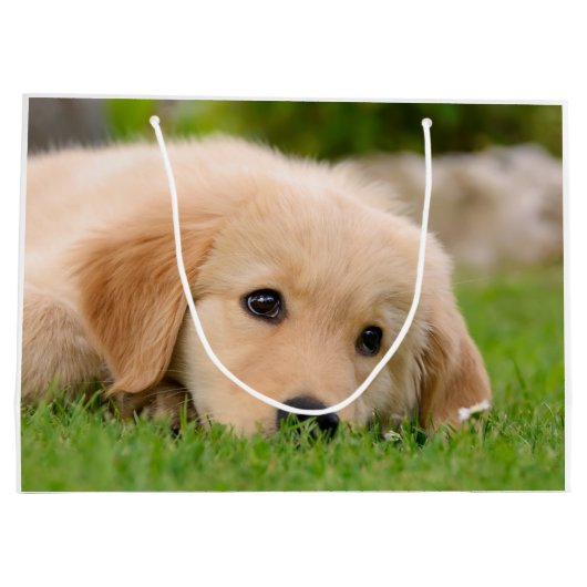 ポートレートを夢を見ているゴールデン・リトリーバーのかわいい子犬- ラージペーパーバッグ (裏面)