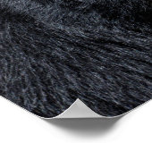 ポートレートアンデアベア ポスター (角)