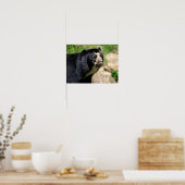 ポートレートアンデアベア ポスター (キッチン)