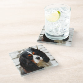 ポートレートオブザキングチャールズカバリエスパニエル犬 ガラスコースター