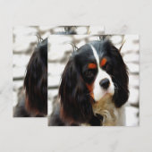 ポートレートオブザキングチャールズカバリエスパニエル犬 シーズンカード (正面/裏面)