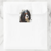 ポートレートオブザキングチャールズカバリエスパニエル犬 スクエアシール (バッグ)