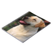 ポートレートオブラブラドールレトリエバーヒルトン ノートブック (左側)