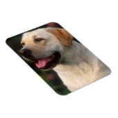 ポートレートオブラブラドールレトリエバーヒルトン マグネット (右側)