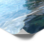 ポートレートカリフォルニアシーライオン ポスター (角)