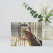 ポートレートスルーリングや輪 ポストカード (スタンド正面)