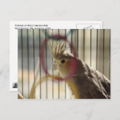 ポートレートスルーリングや輪 ポストカード (正面/裏面)