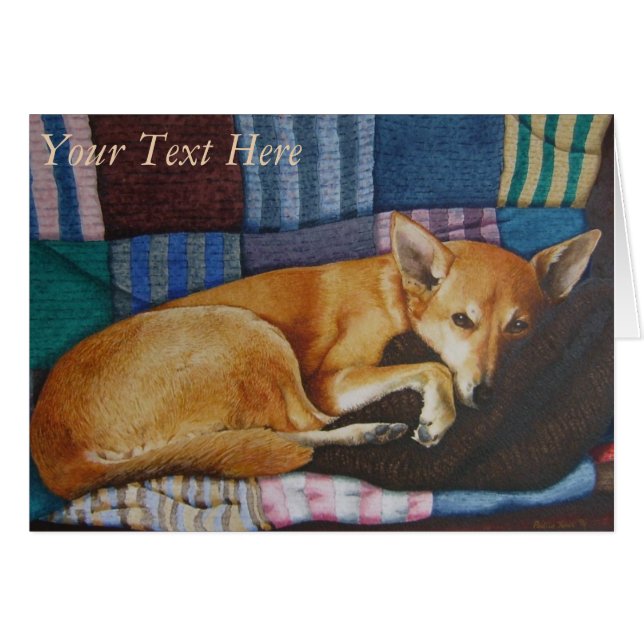 ポートレートドイツの羊飼いラブラドール混合育種犬 (正面横)