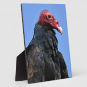 ポートレートハゲワシ フォトプラーク (側面)