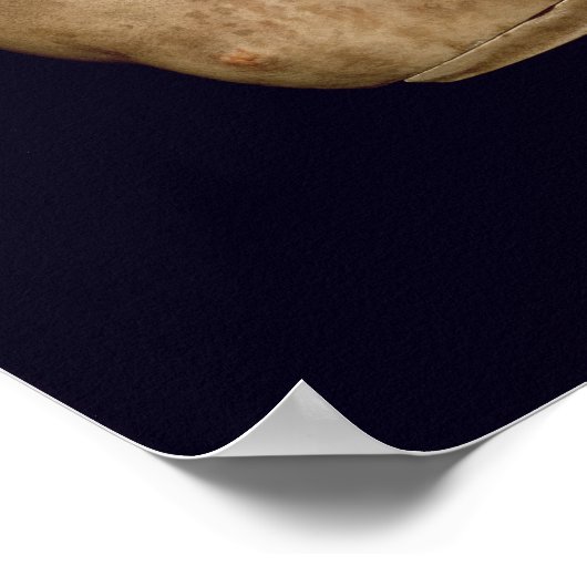 ポートレートバスト皇帝トラジャン ポスター (角)