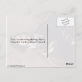 ポートレートビンセンゾ・モスティバイティチアン ポストカード (裏面)