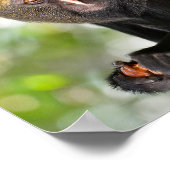 ポートレートフクロウ面猿はがきスクエアのシール ポスター (角)