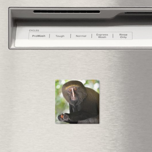 ポートレートフクロウ面猿はがきスクエアのシール マグネット (インサイチュ (食洗機))