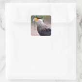 ポートレートミザンクレストカラカラ スクエアシール (バッグ)