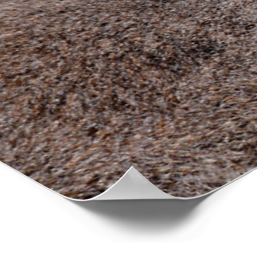 ポートレートリング尾葉書の四角いシール ポスター (角)