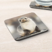 ポートレート上のシールポンプビーチ コースター (左側)