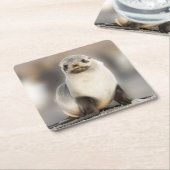 ポートレート上のシールポンプビーチ スクエアペーパーコースター (アングル)