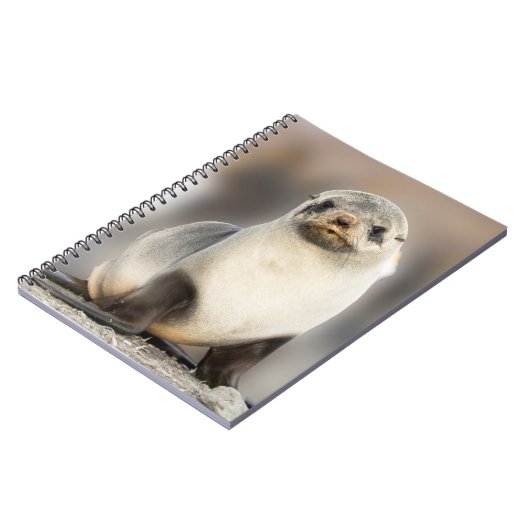 ポートレート上のシールポンプビーチ ノートブック (左側)