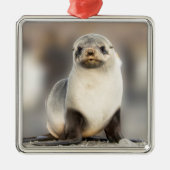 ポートレート上のシールポンプビーチ メタルオーナメント (正面)