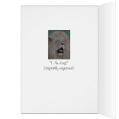 ポートレート写真の轟音ライオン大きな猫野生動物 (内側 (左))