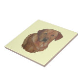 ポートレート写真希少な赤いラブラドール・レトレバー犬 タイル (側面)