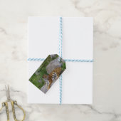 ポートレート写真：シベリアの虎 ギフトタグ (より糸つき)