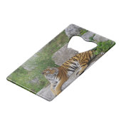 ポートレート写真：シベリアの虎 クレジットカード栓抜き (正面アングル)