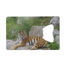 ポートレート写真：シベリアの虎 クレジットカード栓抜き