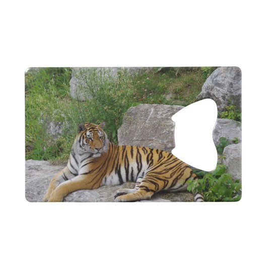 ポートレート写真：シベリアの虎 クレジットカード栓抜き (正面(横))