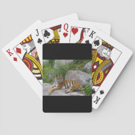 ポートレート写真：シベリアの虎 トランプ