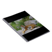 ポートレート写真：シベリアの虎 ノートブック (右側)