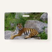 ポートレート写真：シベリアの虎 バッジ (裏面)