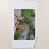 ポートレート写真：シベリアの虎 ビーチタオル (正面)