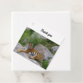 ポートレート写真：シベリアの虎 フェイバータグ (インサイチュ)