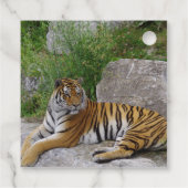 ポートレート写真：シベリアの虎 フェイバータグ (裏面)