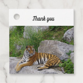 ポートレート写真：シベリアの虎 フェイバータグ