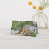 ポートレート写真：シベリアの虎 プレイスカード (裏面)